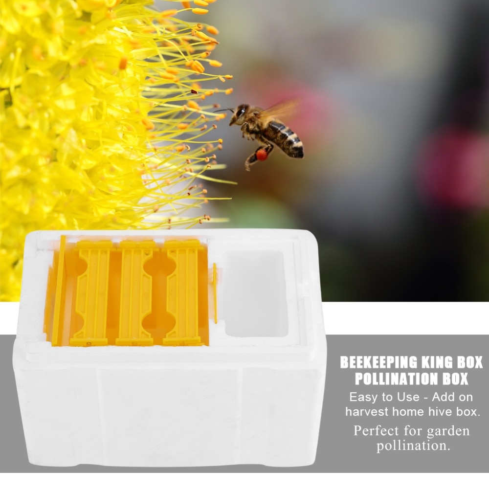 Beekeeping Hive Box Beekeeping Supplies & Equipment