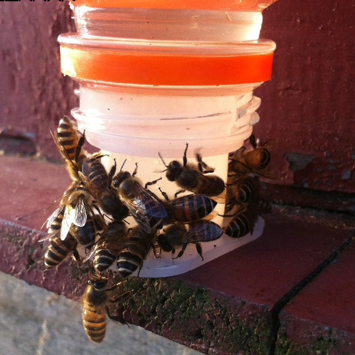 Bee Drinking-Feeding Equipment Beekeeping Supplies & Equipment