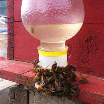 Bee Drinking-Feeding Equipment Beekeeping Supplies & Equipment