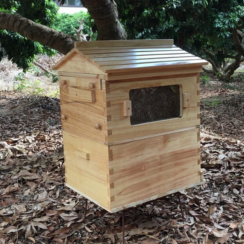 Automatic Flow Fir Wood Beehive With Seven Frames Beekeeping Supplies & Equipment