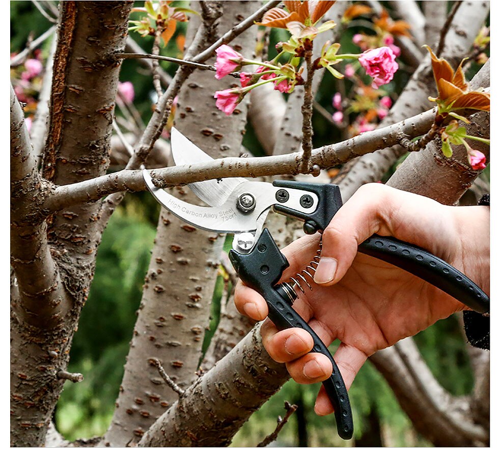 High Quality Garden Pruning Shears