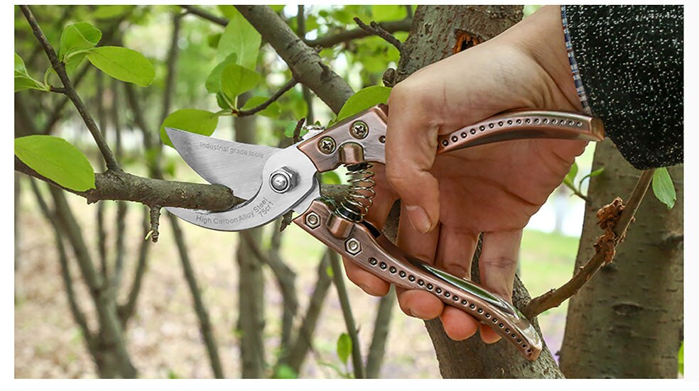 High Quality Garden Pruning Shears