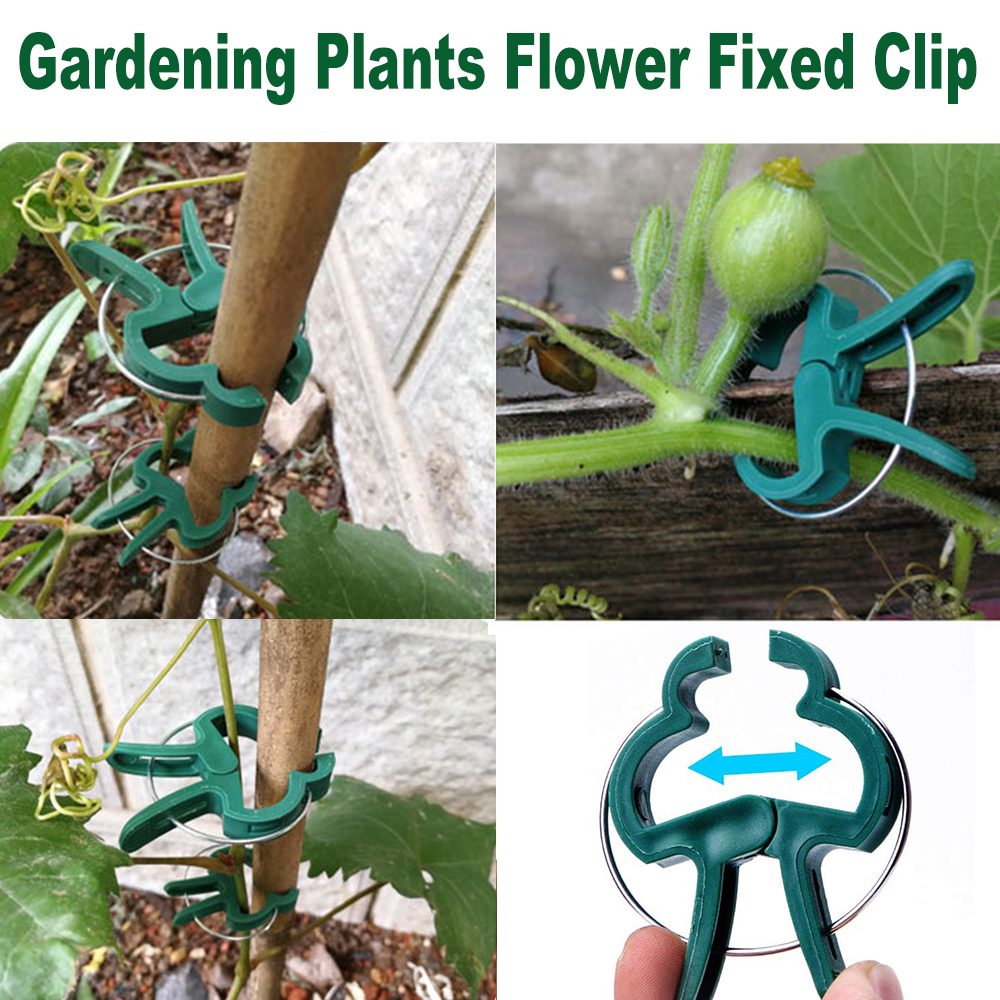 Garden Plant Clamps With Spring Gardening Gadgets & Accessories